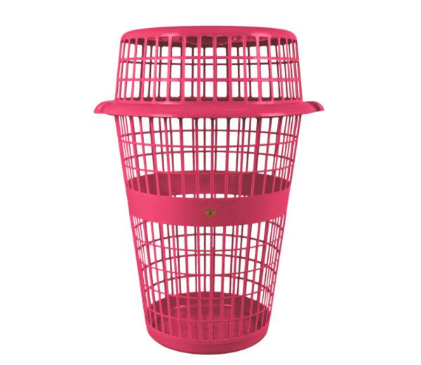 CESTA CALADA LISBOA - Image 2